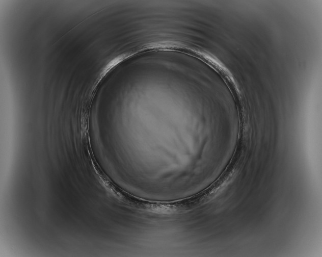 X0000085770945200703301359