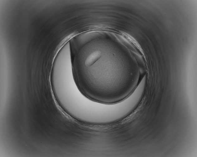 X0000085770946200703301359