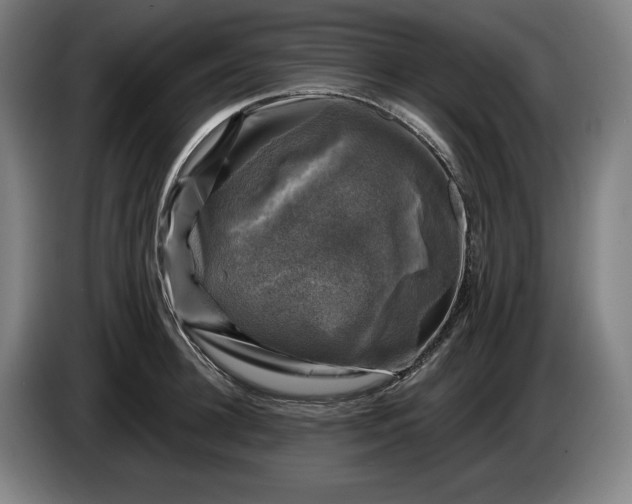 X0000085770948200703301359