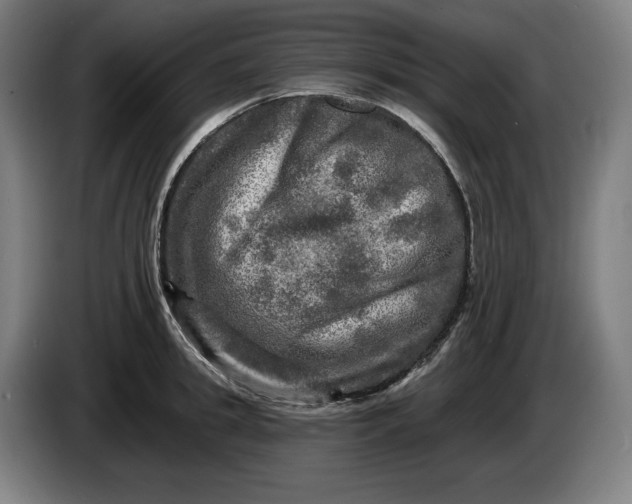 X0000085770949200703301359