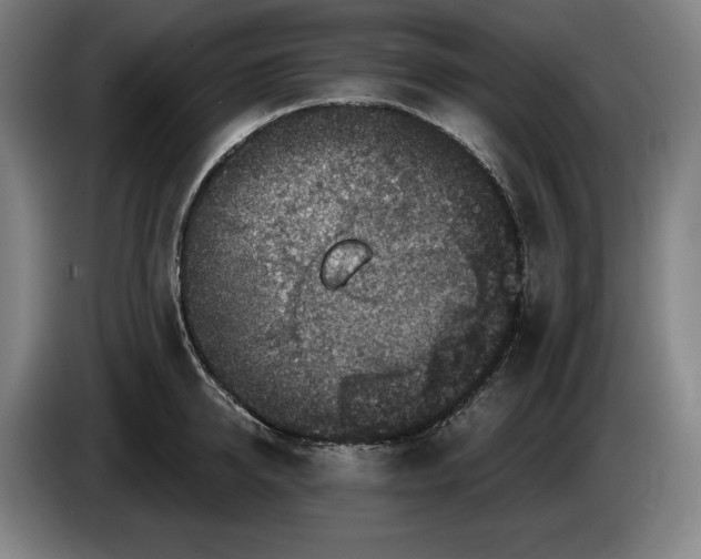 X0000085770950200703301359