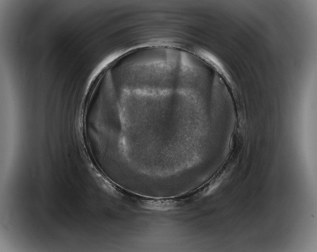 X0000085770952200703301359