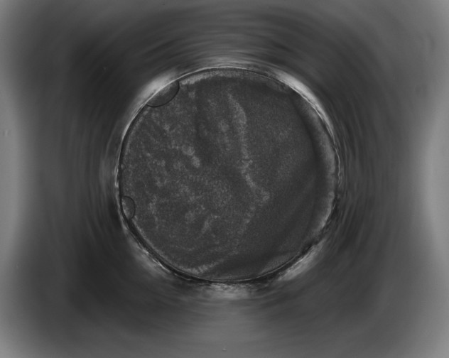 X0000085770954200703301359