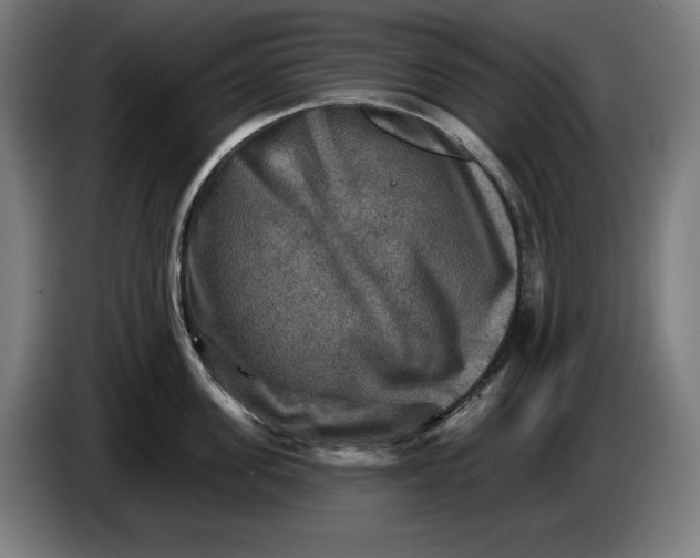 X0000085770955200703301359