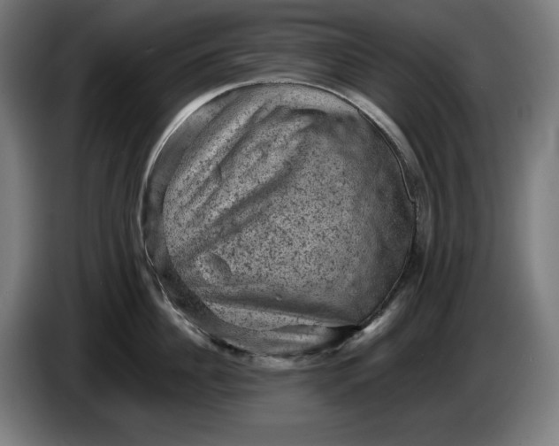 X0000085770956200703301359