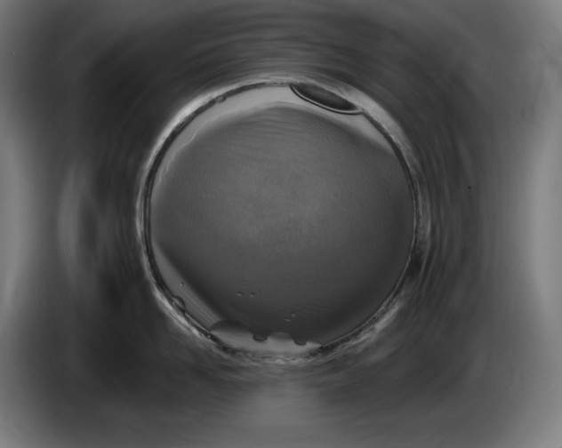 X0000085770958200703301400