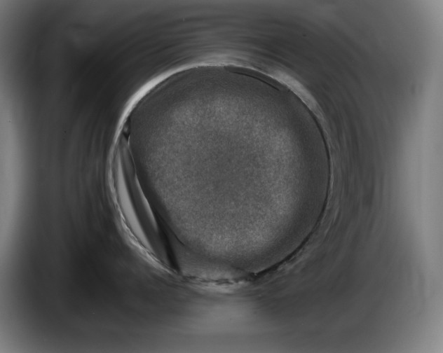 X0000085770960200703301400