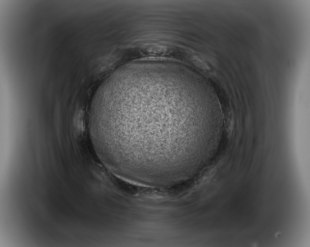 X0000085770962200703301359