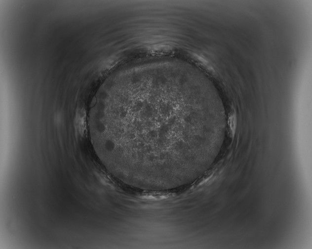 X0000085770963200703301359