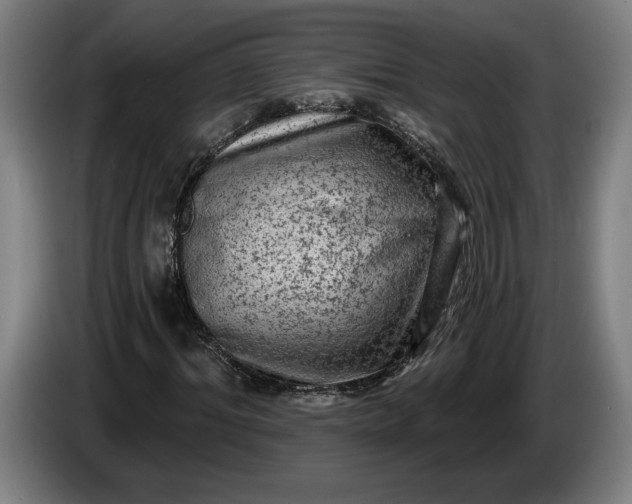 X0000085770964200703301359