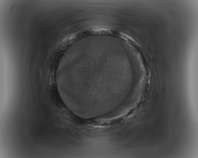 X0000085770965200703301359