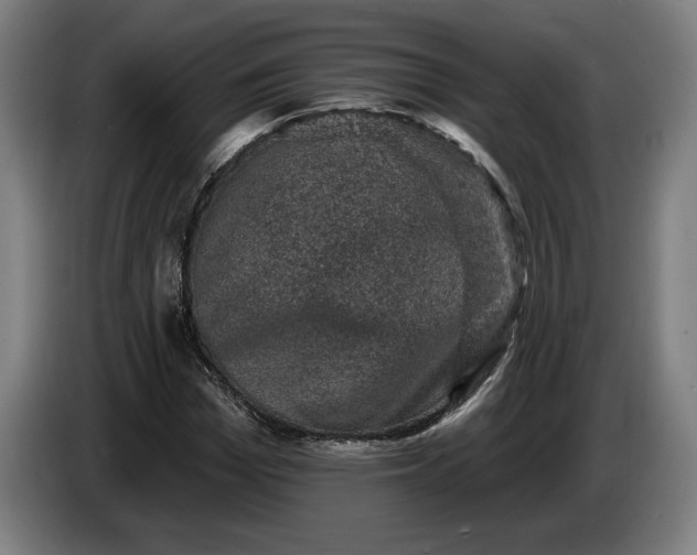 X0000085770969200703301359