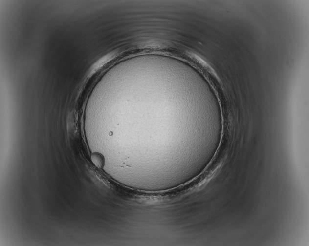 X0000085770970200703301359