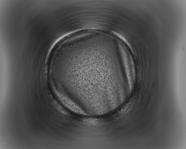 X0000085770971200703301359