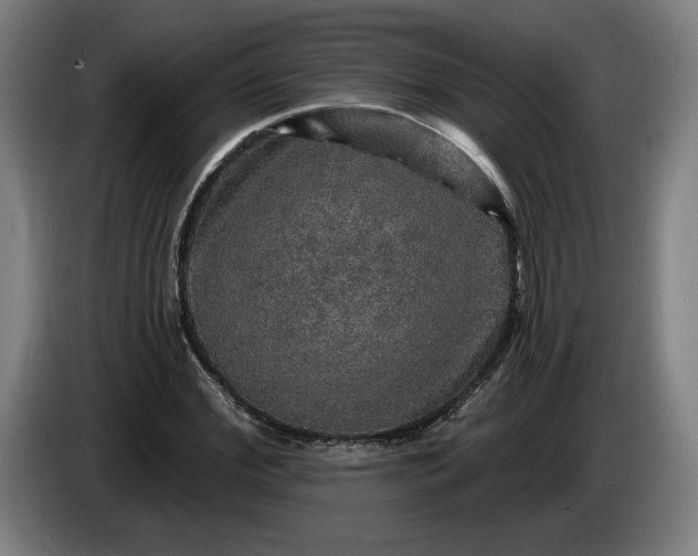 X0000085770972200703301359