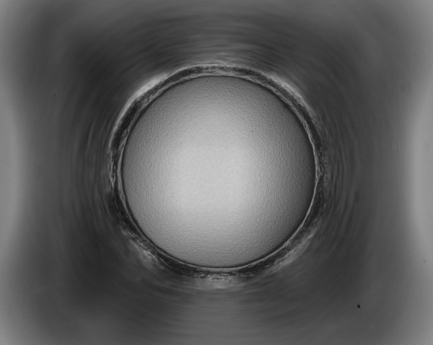 X0000085770974200703301359