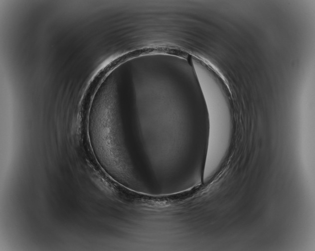 X0000085770975200703301359