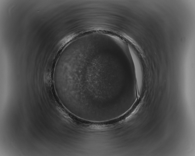 X0000085770977200703301359