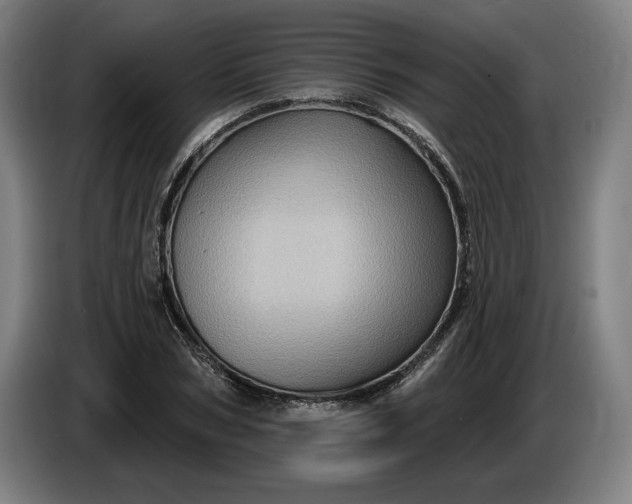 X0000085770978200703301358