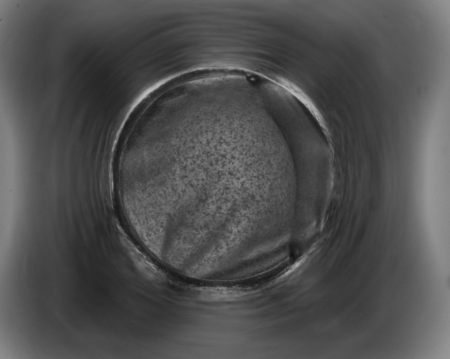 X0000085770980200703301358