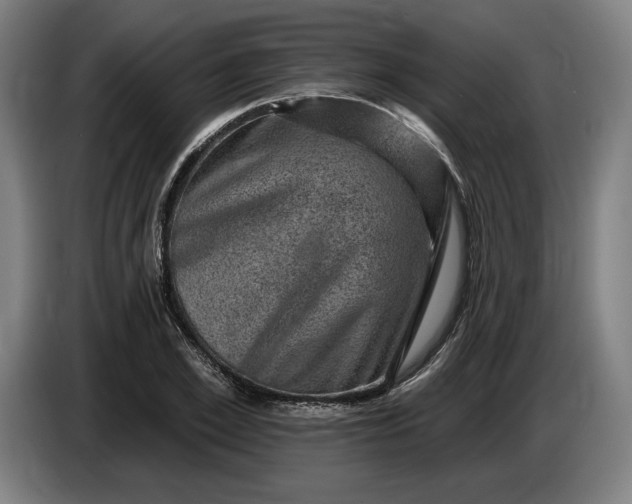 X0000085770981200703301358