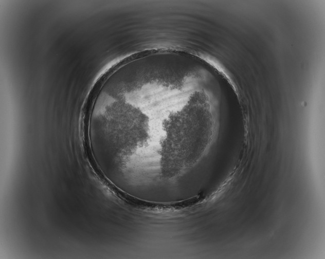 X0000085770983200703301358