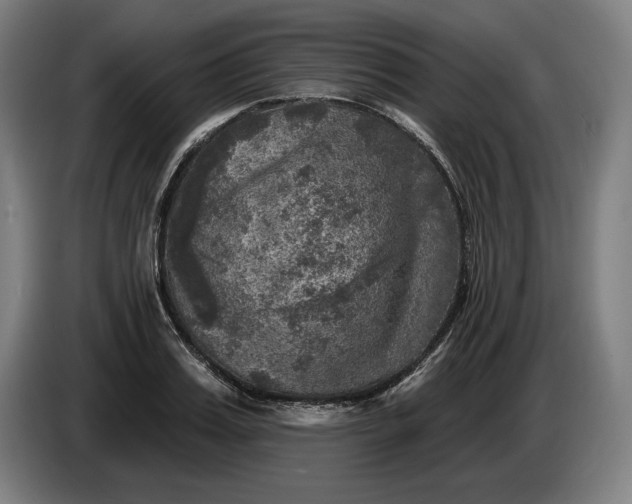 X0000085770987200703301358