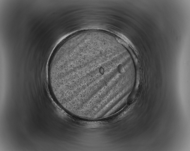 X0000085770988200703301358