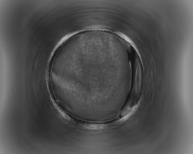 X0000085770989200703301358