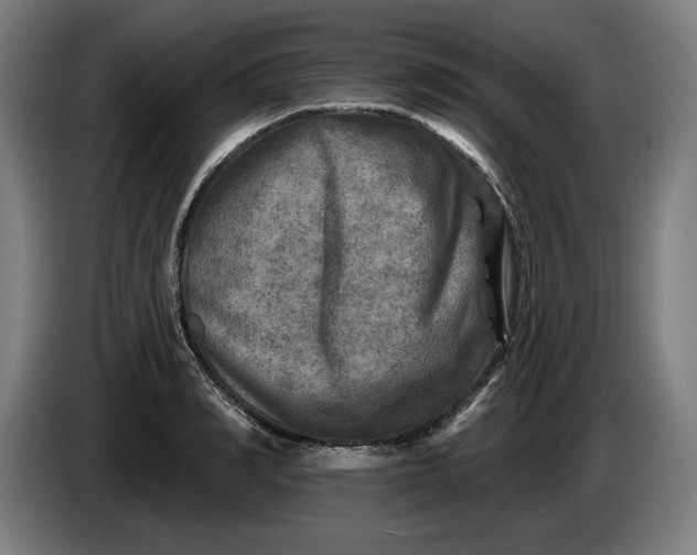 X0000085770990200703301358