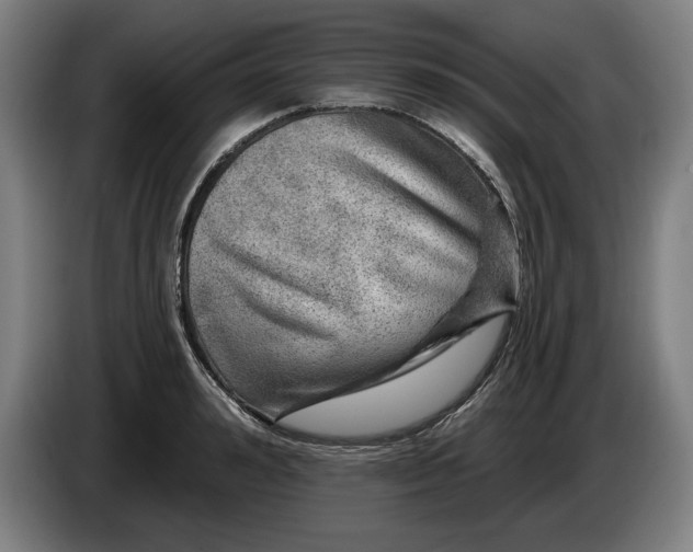 X0000085770992200703301358