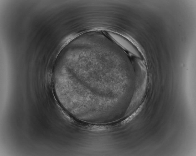 X0000085770993200703301358