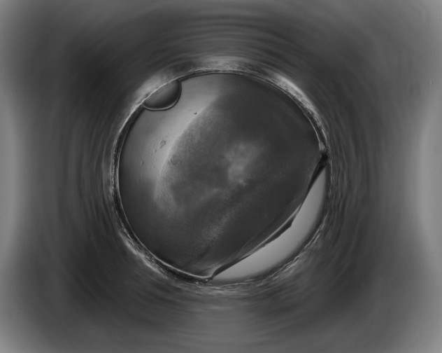 X0000085770994200703301358