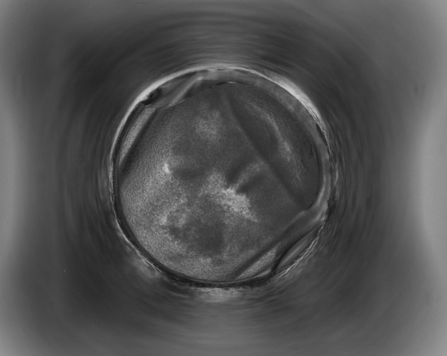 X0000085770996200703301358