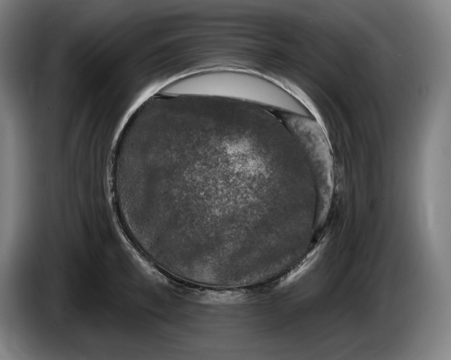 X0000085770997200703301358