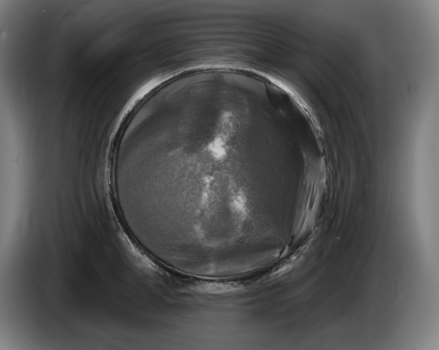 X0000085770998200703301358