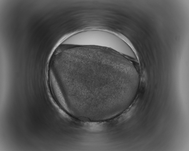 X0000085771005200703301358