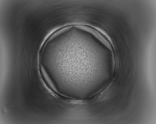 X0000085771006200703301358