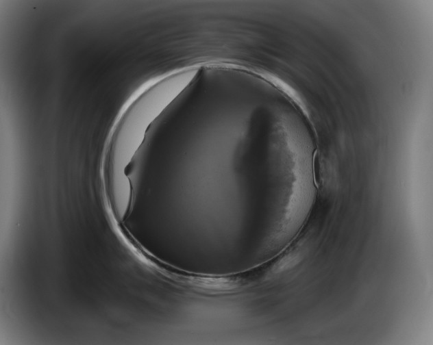 X0000085771007200703301358