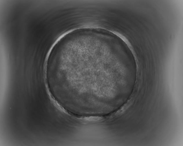 X0000085771008200703301358