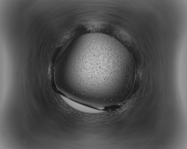 X0000085771012200703301357