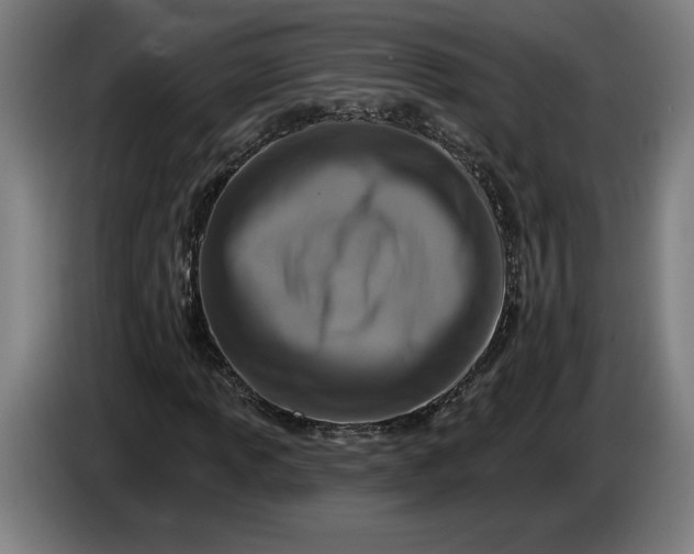 X0000085771013200703301357