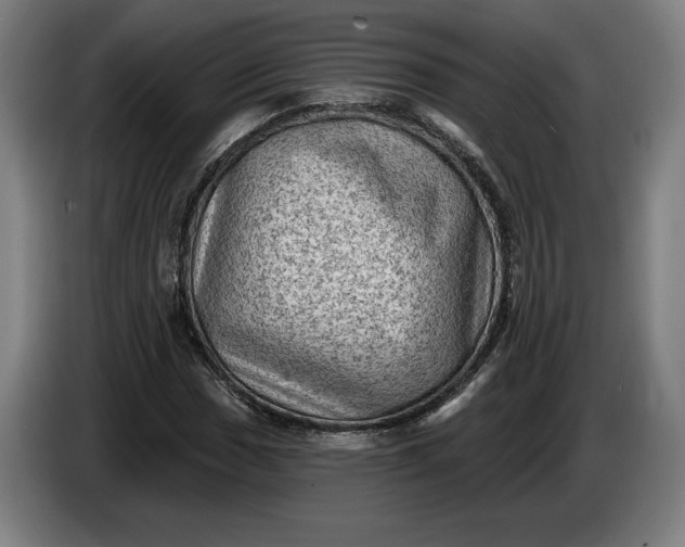 X0000085771017200703301358