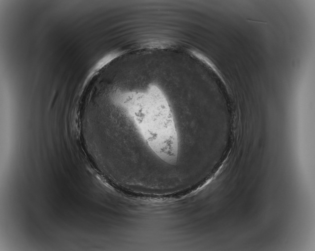 X0000085771018200703301358