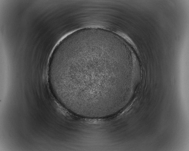 X0000085771020200703301358