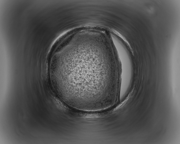 X0000085771021200703301358