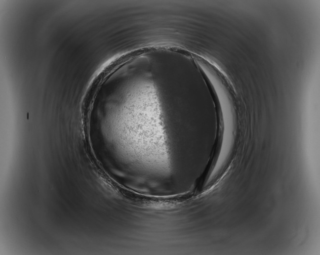 X0000085771022200703301358