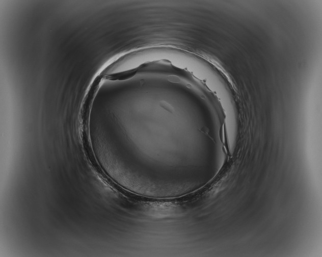 X0000085771024200703301358