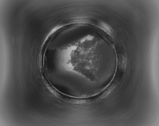 X0000085771030200703301358