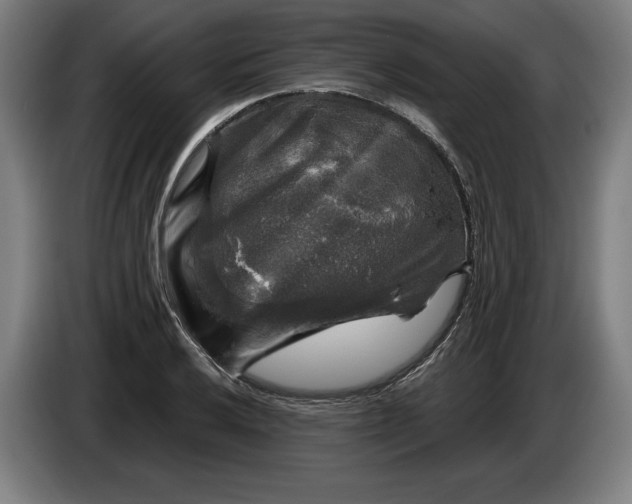 X0000085771032200703301358